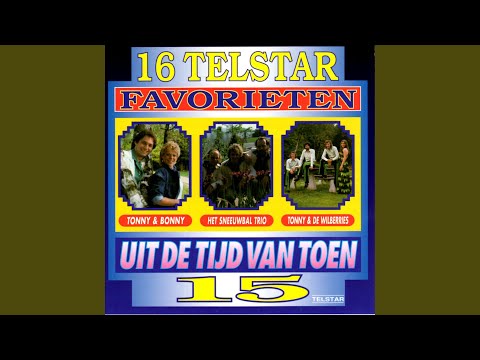 'n Bosje Rode Rozen