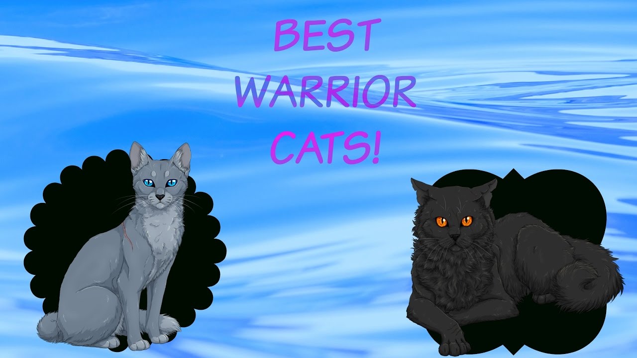 Top 10 Best Warrior Cats | OUTDATED - YouTube