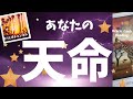 【超重要】あなたの天命🌈オラクルカードリーディング🦋ホリミホ🦋