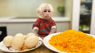 Chef Bibi monkey cooks Yummy Egg Fried Rice! No point criticizing