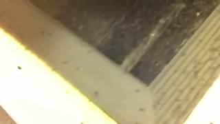 Plastic Cutting End Mill - Harvey Tool