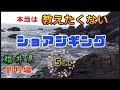 福井県のショアジギングの釣り場紹介／チヌ・シーバス・キス釣り・青物のポイント