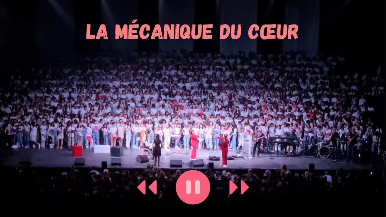 [Archives Goyang] La Mécanique du Cœur au Zénith de Limoges