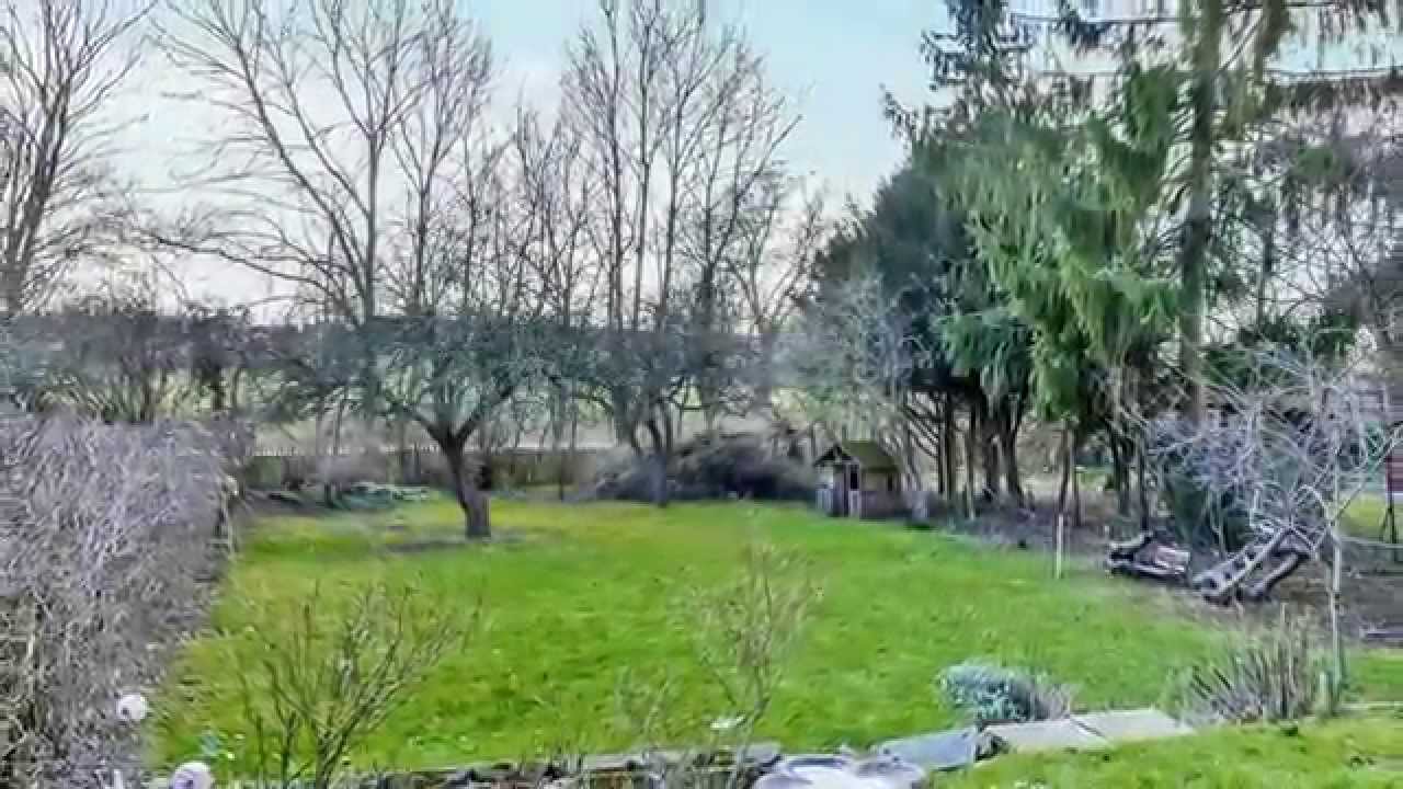 Bo i 1. række direkte ned til Damhusengen