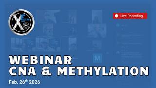 Why Supplements Fail Without Testing