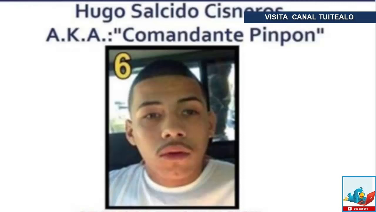 Abaten a 'El pin pon' jefe operativo de 'La Tropa del infierno' en Tamaulipas