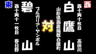 大相撲五月場所二日目　白鷹山 （2024-05-13)