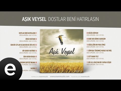 Anlatmam Derdimi Dertsiz İnsana (Aşık Veysel) Official Audio #anlatmamderdimi #aşıkveysel