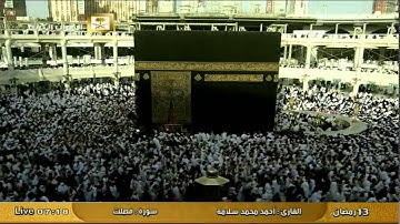 سورة فصلت Fussilat - أحمد محمد سلامة Al-Haramien TV