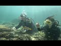 Discover scuba #StormRelief #RebuildTogether #HelpingHands #4k #asmr #shorts #aquarium #fun #gopro