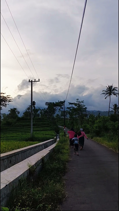 menjelang Maghrib di pedesaan #youtubeshorts #nature #desaku #shorts #desa
