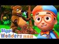 クマのとうみん | ブリッピーワンダーズ | 子供向け動画 | 人気アニメ