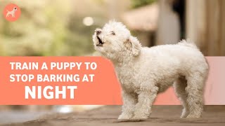 How To Train a Puppy To Stop Barking at Night: Complete Guide