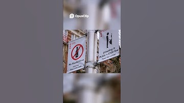 Avoid HUGE Fines in Amsterdam! Coffee Shops & Smoking Rules