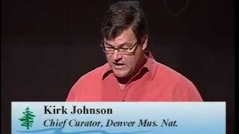 Global Spotlight on Temperate Rainforests (Part 1 of 2)