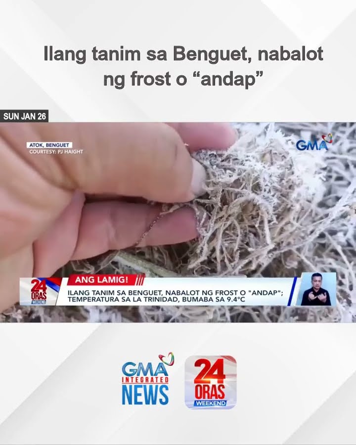 Ilang tanim sa Benguet, nabalot ng frost o “andap” | 24 Oras Weekend