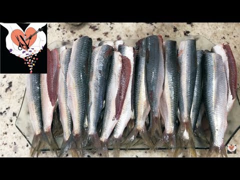 Vídeo: Como Fazer Peixe Enlatado