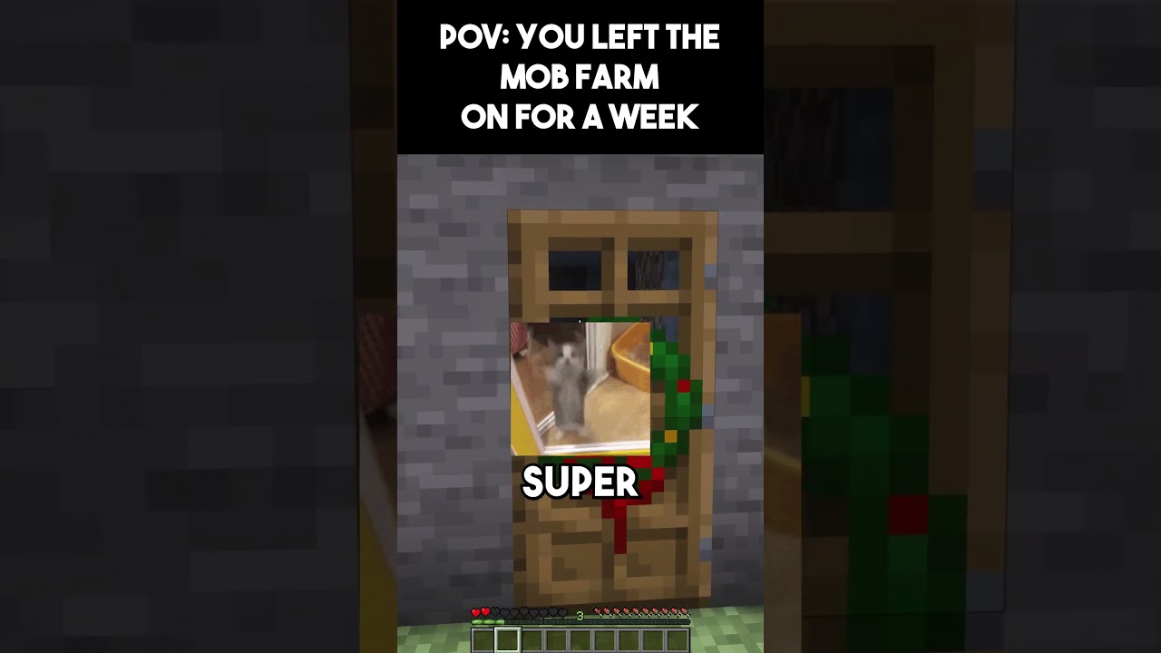 POV YOU LEFT THE MOB FARM ON FOR A WEEK