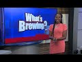 What's Brewing - Valdosta Comic Con