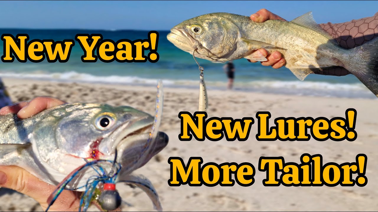 Starting the Year In the Best Way! New Lures and more Tailor! 