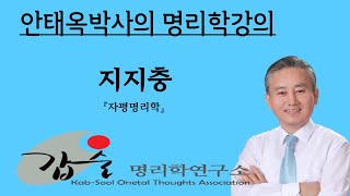 갑술명리학 지지충