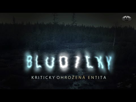 Bludičky - kriticky