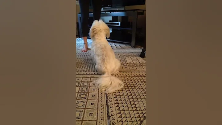 Jack before prolotherapy