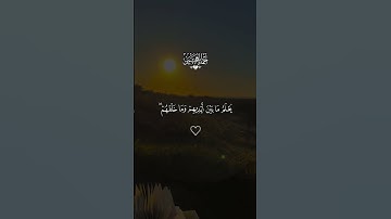 ايه الكرسي احمد العجمي تلاوه خاشعه ✨💚#قران #احمد_العجمي  #quran #قران_كريم #تلاوة_خاشعة