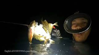 HARVEST Danggit malakuto sa damuhan NAGKUKUMPOLAN | episode 56 night diving spearfishing Philippines