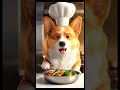 #ai#ChefDog #YouTubeShorts#animationmania #viralyoutubeshorts #asmr #foodfun #dogfun #dogai #aidog