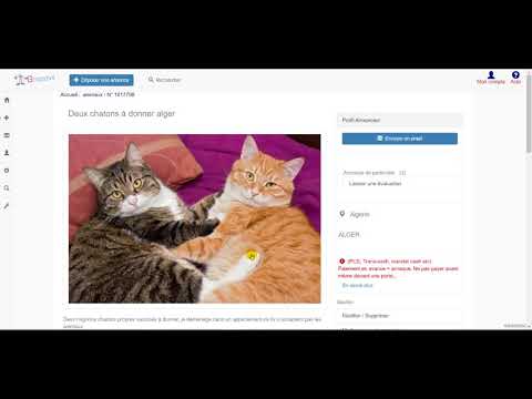 Top Meilleures Alternatives à Wannonce.com pour trouver des annonces 📝
