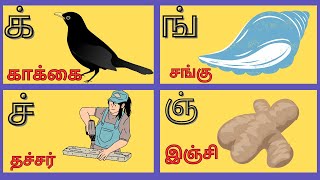 மெய் எழுத்துக்கள் |அடிப்படைத் தமிழ் |க் ங் ச் ஞ் ட்|Learn tamil mei elethukkal |@ishakidstv-20