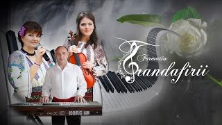 Bianca Ivan  - Instrumentala (Formatia Trandafirii)