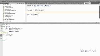 The PyCharm Interactive Console