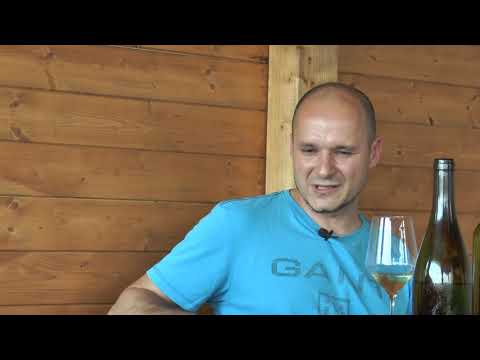 Video: Sprievodca po francúzskych vinárskych oblastiach