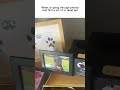 RIP my dog Rooney
