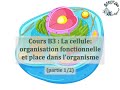 Cours b3  la cellule 12 membrane plasmique et matrice extracellulaire mec