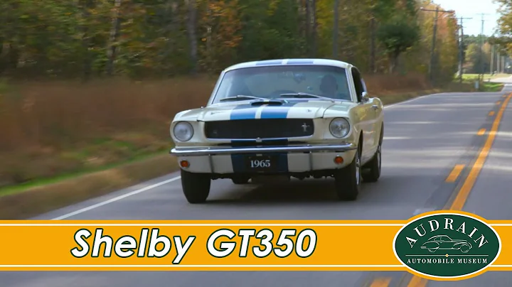 Shelby GT350: Speed, Power, and Control