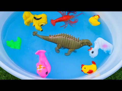 fun-zoo-animal-toys---learn-animal-names