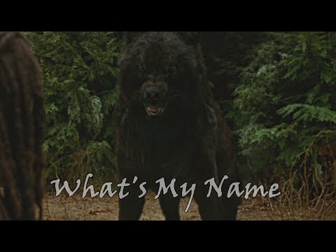 Twilight Wolves- What's My Name