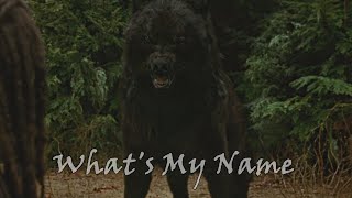 Twilight Wolves- What's My Name