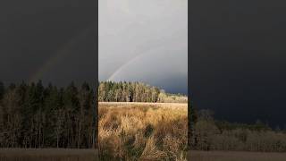 Rainbow timelapse filmed with the Insta360 Flow #rainbow #timelapse #insta360
