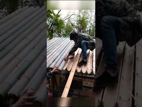 Video: Rumah di bawah bumbung hijau. Bumbung hijau buat sendiri. Gambar