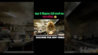 बंदर ने रोटी बनाने सिखाए ‎#MonkeyMasti #HilariousVideo #FunnyAnimals #ComedyGold #TrendingShorts