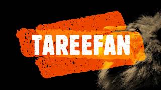Tareefan | Veeray di wedding | with download link