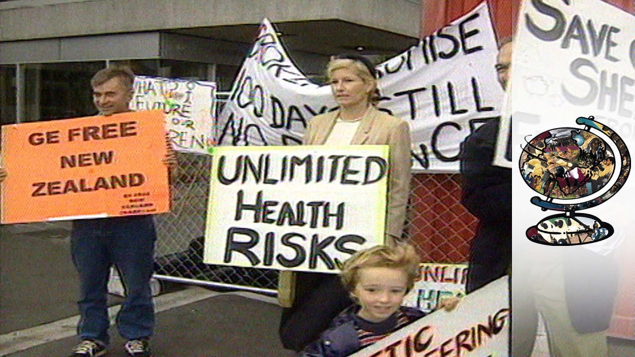 Documentary backdrop image for New Zealand's Furious Genetic Modification Debate (2021)