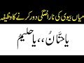 Wazeefa of ya Hannan ya Haleem o Ya Hannan Ya Haleemo Ka Wazifa