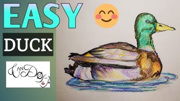 How To Draw A Duck Step By Step For Beginners | Easy Duck Drawing Tutorial | Animal Drawing |  Bird