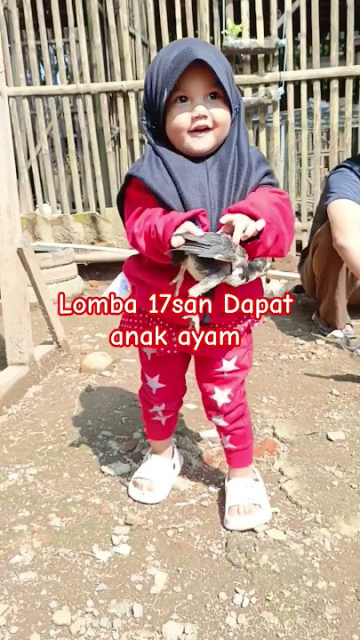 anak kecil lucu dapat ayam #lucu #bulanagustus #ngakak #anaklucu