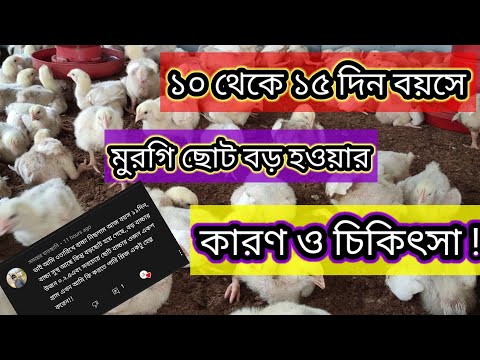 ভিডিও: কম্বি বয়লার কি বড় হয়?